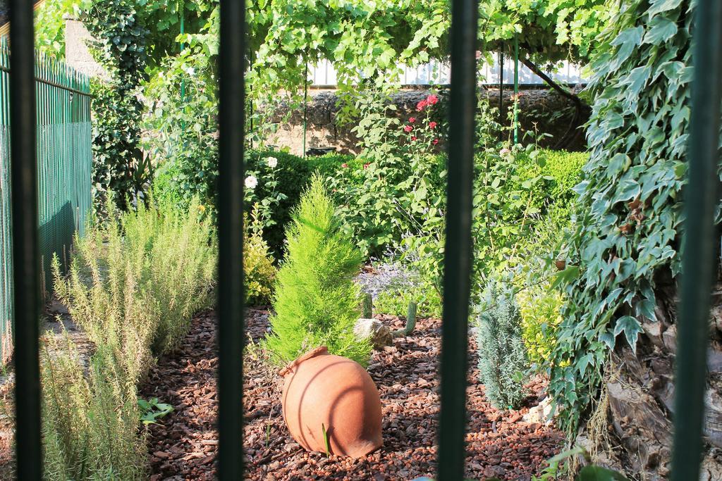 バーニョス・デ・モンテマヨールCasa Jardin De La Plataアパートメント エクステリア 写真
