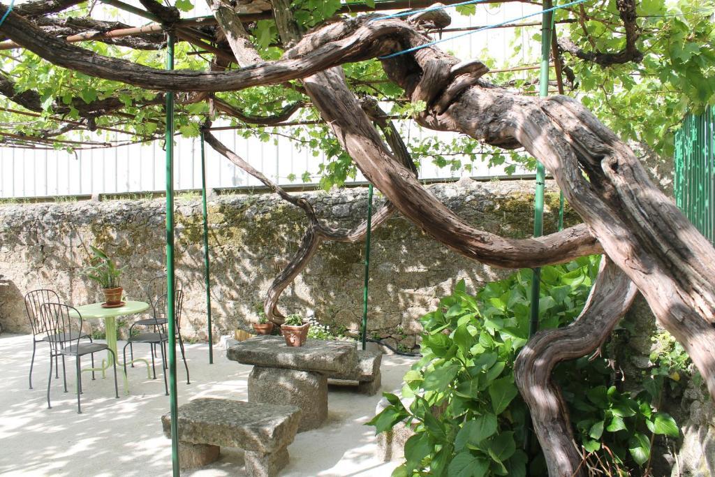 バーニョス・デ・モンテマヨールCasa Jardin De La Plataアパートメント エクステリア 写真