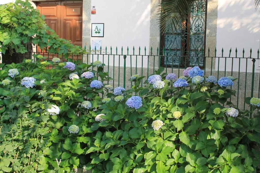 バーニョス・デ・モンテマヨールCasa Jardin De La Plataアパートメント エクステリア 写真